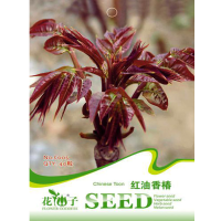 40Pcs Toona Sinensis Seeds Tree Organic Healthy Vegetables Herb Plant