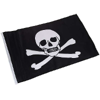47Cm X 30cm Jolly Roger Pirate Skull Flag