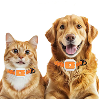 4G LTE Huisdier GPS Tracker IP66 Waterproof met Lange Standby Real Time Tracking voor Honden en Katten, Elektronisch Die