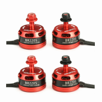 4X Racerstar Racing Edition 2205 BR2205 2300KV 2 4S Borstelloze motor voor QAV250 ZMR250 RC Drone FPV Racing