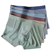 5 Stuks herenslips met antibacteriële werking, casual boxerbriefs multipack, ademend comfortabel ondergoed van ijszijde,