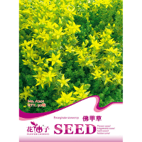 50Pcs Bonsai Plants Sedum Seeds Flower Indoor Evolutionary Air