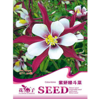50Pcs Columbine Flower Seeds Garden Plant
