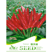 50Pcs Garden Spices Red Chili Spice Pepper Vegetable Seeds