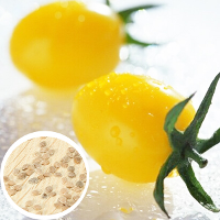 50Pcs Yellow Pear Tomato Lycopersicon Seeds Vegetable Delicious Fruit