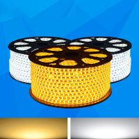 5M 3w/m 300led Smd 3528 Led Strip Light Waterproof Ip66 Ac 220v