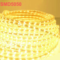 5M 9.6W/m 300led Smd 5050 Led Strip Waterproof Ip66 220v