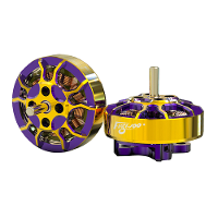 5PCS Flywoo ROBO 1202.5 11500KV 1 2S Brushless Motor voor 2 of 3 Inch Ultralight FPV RC Racing Drone