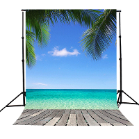 5X7Ft Hawaii Seaside Beach Sky Tree Scenery Photography Background Backdrop Studio Prop
