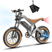 [EU DIRECT] ZONVEER M20 Elektrische Fiets 48V 18.2Ah 1000W (Piek 1500W) Aanbevolen Topsnelheid 25KM/U 20 Inch Banden 60k