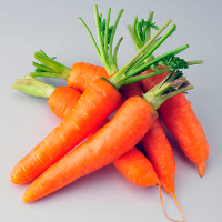 800Pcs Red Carrot Seeds Vegetable Plant Food