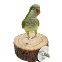 8Cm Parrot Wooden Stand Pet Bird Hanging Cage Perch Platform Bird Holder