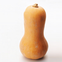 8Pcs Winter Cream Butternut Squash Seeds Pumpkin Vegetable Seeds