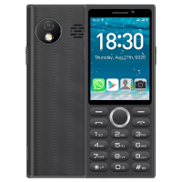 A6 2,83 inch 2GB RAM 16GB ROM Android 9.0 2500MAh Dual SIM kaart Dual Standby MT6762C 4G Robuuste smartphone