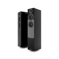 Acoustic Energy: AE309 vloerstaande luidspreker (2 stuks)   Zwart