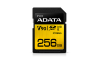 Premier ONE SDXC, 256 GB