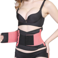 Adjustable Trimmer Belt Body Wrap Back Lumbar Support Sporty Waist Trainer Girdle Corset