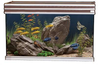 Adm Aquarium Evasion Aluminium/elm #95;_80x40x50 Cm