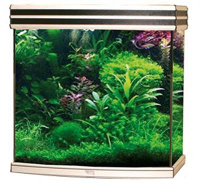 Adm Kolom Aquarium Horizon 125 Aluminium/zwart #95;_60x45x62 Cm