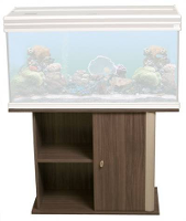 Zzzadm Meubel Evasion 1 Deur Elm #95;_101x40 Cm