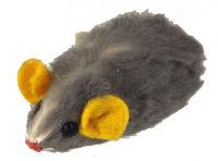 Adori Bontmuis Groot