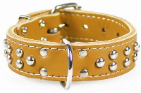 Adori Halsband Voor Hond 2 Rijen Dop Gestikt Zand #95;_Small/medium 40x3 Cm