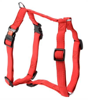 Adori Harnas Voor Hond Teflon Limit Rood #95;_Small/medium 35 50x1,5 Cm