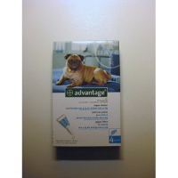 Advantix 100/500 6 pipetten