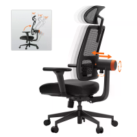 Newtral MagicH002 Ergonomische thuiskantoorstoel, bureaustoel met unieke aanpasbare lendensteun, verstelbare hoofdsteun,