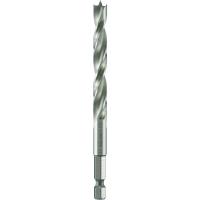 Alpen 0062200300100 Hout spiraalboor 3 mm Gezamenlijke lengte 74 mm 1/4 (6.3 Mm) buitenvierkant 1 stuk(s)