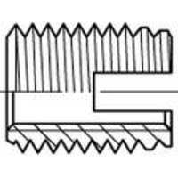 Alstertaler Schrauben & Präzisionsteile 159831 Schroefdraad inzet M5 10 mm 50 stuk(s)