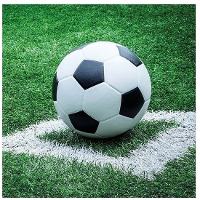 Voetbal thema servetten   40x   33 x 33 cm   3 laags papier   feestservetten