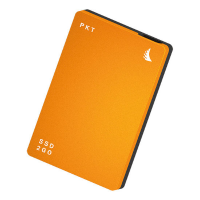 Angelbird Ssd2go Pkt 1 Tb Externe Ssd Harde Schijf Usb C Usb 3.1 Oranje
