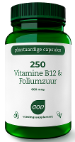 AOV 250 Vitamine B12 & Foliumzuur Vegacaps