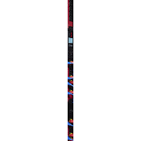 APC AP8681REDX667   Switched & Metered by Outlet PDU stekkerdoos