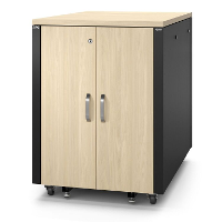APC NetShelter AR4017IA, 17U server rack