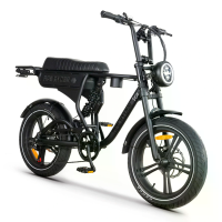 [EU Direct] APE DC20 Elektrische fiets 48V 13AH 250W Elektrische fiets 20 inch 40 60KM Bereik Max Laadvermogen 150KG