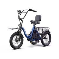 APEFOX RH30 Opvouwbare Elektrische Driewieler met Lading, 48V 15Ah Akku, 500W Motor, Topsnelheid 25 km/u, Snelheidsensor