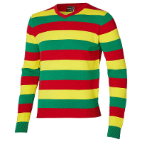 Carnaval verkleed trui Limburg   v hals   rood/geel/groen gestreept   dames / heren   Vastelaovend