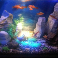 Aquarium Led Spotlights Fish Tank Diving Spotlight Led