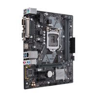 Prime H310m D