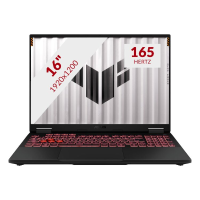 ASUS TUF Gaming A16 FA608UM RV253W 16'' gaming laptop