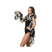 Carnaval verkleed boa met veren   zwart/wit   180 cm   45 gram   Glitter and Glamour