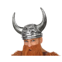 Carnaval verkleed Viking helm   grijs   met hoorns   plastic   heren   krijger/ridder