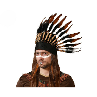 Indianen veren tooi voor heren   zwart/bruin   met ornamenten   verkleed accessoires
