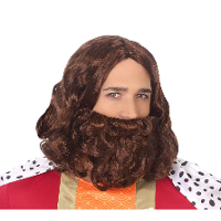 Verkleedpruik voor heren met baard   bruin   half lang haar   Carnaval   Krijger/ridder/koning