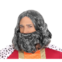 Verkleedpruik voor heren met baard   grijs   half lang haar   Carnaval   Krijger/ridder/koning