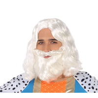 Verkleedpruik voor heren met baard   wit   half lang haar   Carnaval   Krijger/ridder/koning
