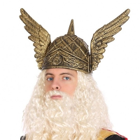 Viking/Noorman carnaval verkleed helm   voor heren   krijgers   goud   kunststof