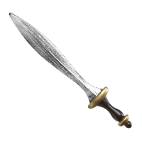 Zwaard van Krijger/ridder/viking   verkleed speelgoed   69 cm   kunststof   wapens   kind/adults